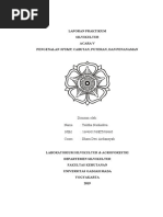 Laporan Praktikum Silvi 5