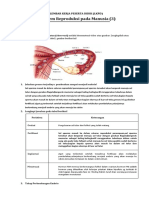 LKPD 3 Sistem Reproduksi pada manusia (1)