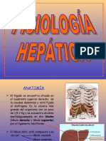 Fisiología-Hepática