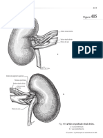 Shémas Précis D'anatomie - Grégoire Et Oberlin