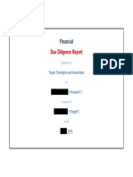 Example-Financial-Due-Diligence-Report-Redacted