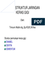 Ikg-08 Slide Biologi Struktur Jaringan Keras Gigi