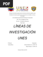Trabajo Lineas de Investigacion