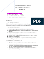 Preinforme #7