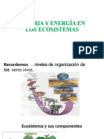 Flujos de Ecosistemas