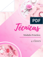 MóduloPrácticoTécnicas (1)