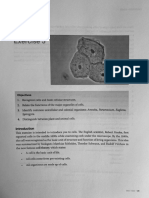 Exercise 05 (Cells) - Lab Manual Pages