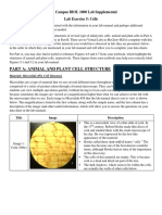 BIOL 1000 Ex05 (Cells) Handout_F20 (2)