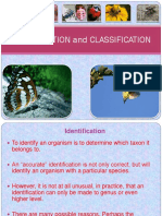 Identification and Classification