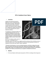 DNA Isolation From Onion