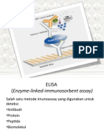 ELISA, Deteksi Antibodi dan Protein