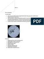 Rhizoma 3,4,5