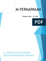 Sistem Pernapasan Manusia