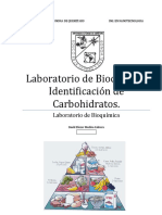 65839199 Pract Identificacion de Carbohidratos