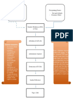 DM 1 Schematic Diagram