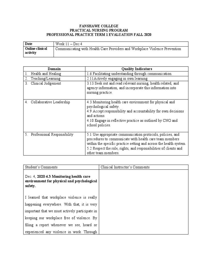 Nursing Program Evaluation: Workplace Safety | PDF | Career & Growth