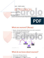 Biologi Tingkatan 5 Bab 3 Rangsangan Gerakbalas Ms En Neuron Kidney