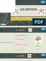 6 Power Point - Los Sentidos