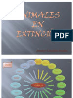 Animales en Extincion