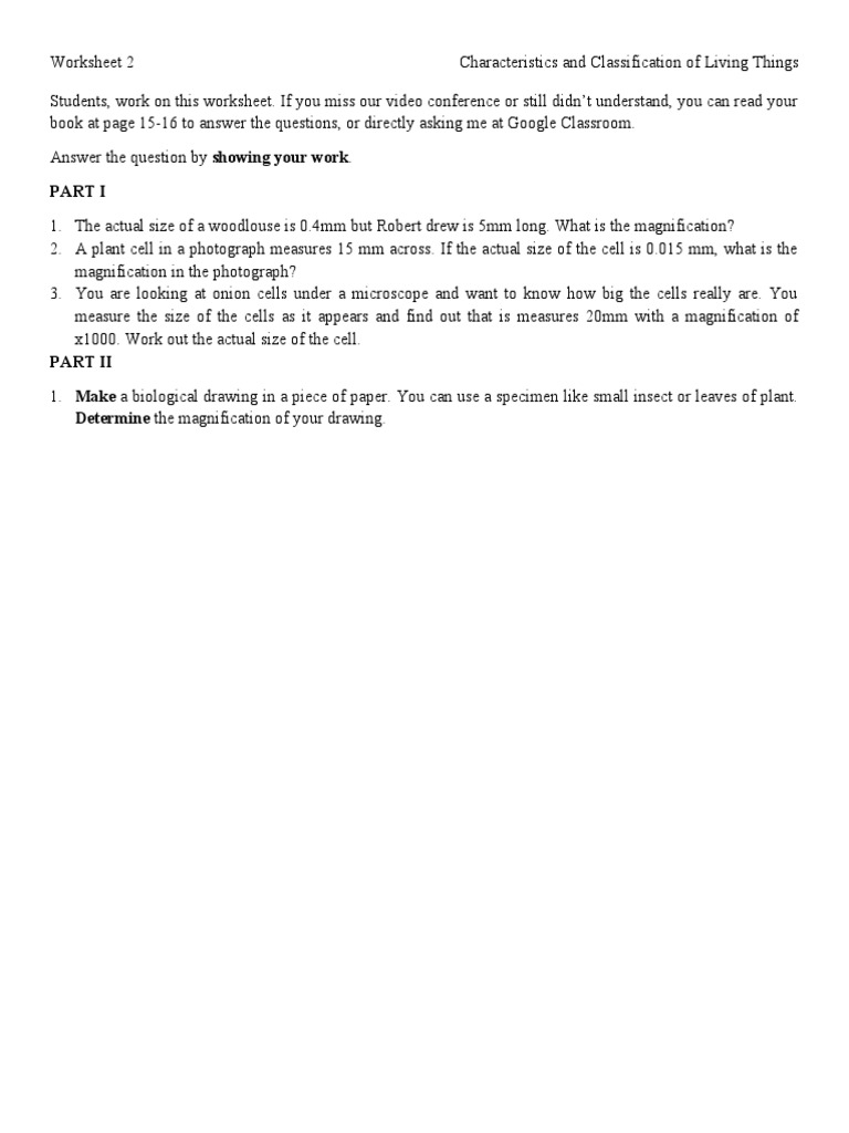 Biological Drawings and Magnification Worksheet | PDF