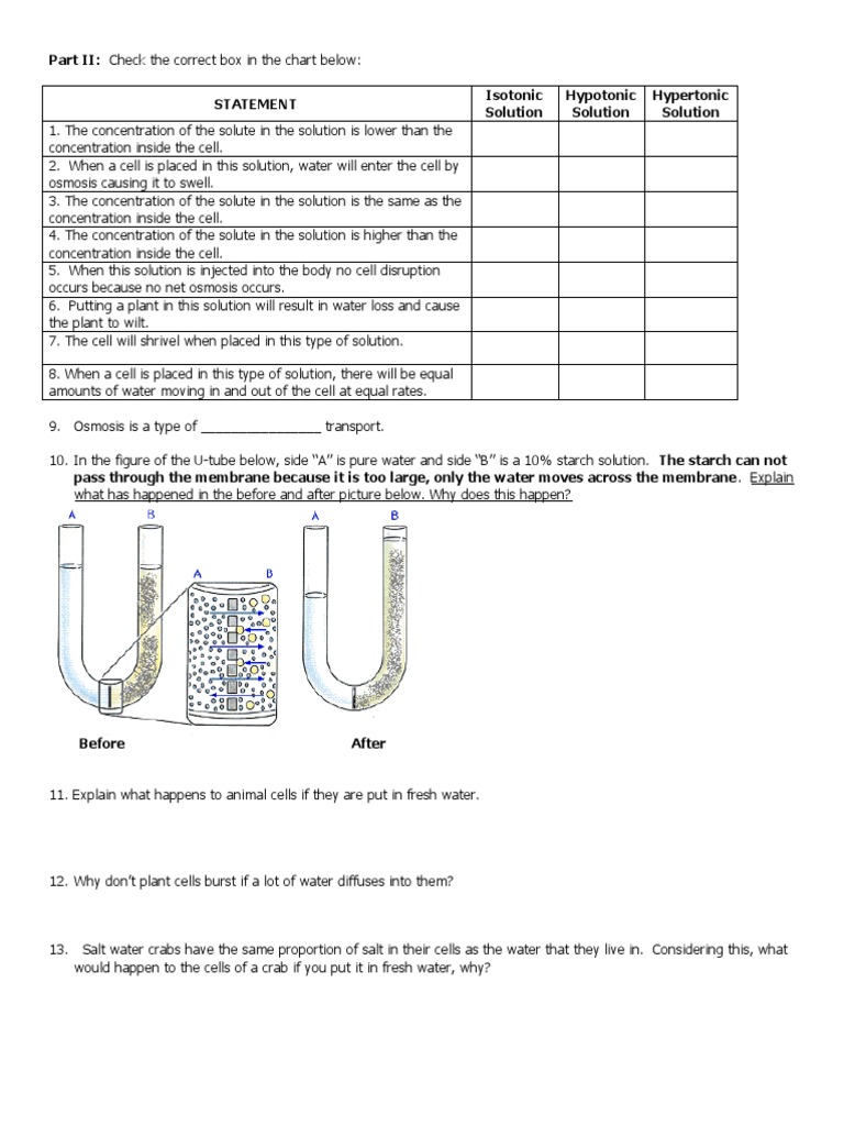 osmosis homework worksheet