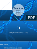 KLP 1 (RNA & DNA)