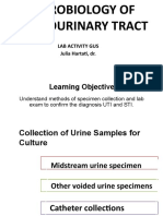 Sterile Urine Specimen Collection Guide | PDF | Urine | Infection