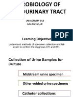 29032016 - MICROBIOLOGY OF GENITOURINARY TRACT-1 