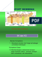 Transport Membran