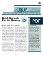 Brief Strategic Family Therapy