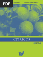 Download sucos_citricos by Nattallya Ribeiro SN49893852 doc pdf