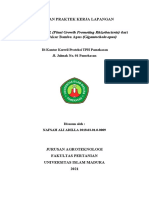 laporan pkl revisi agroteknologi