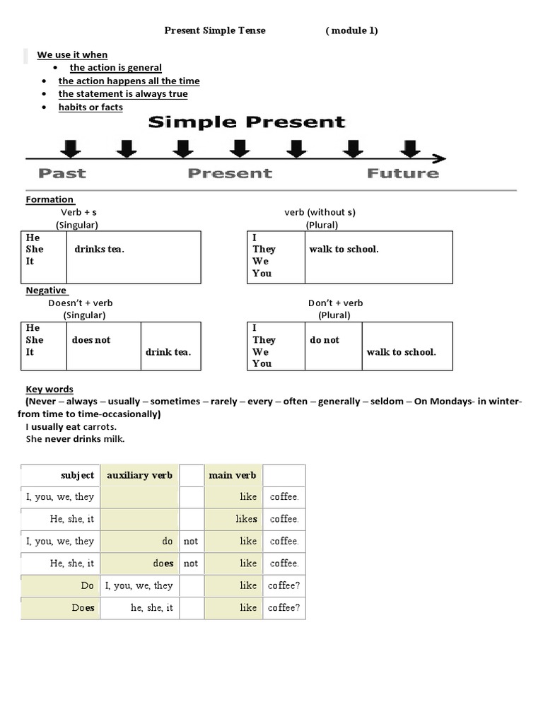 Present Simple Tense Overview | PDF | Noun | Perfect (Grammar)