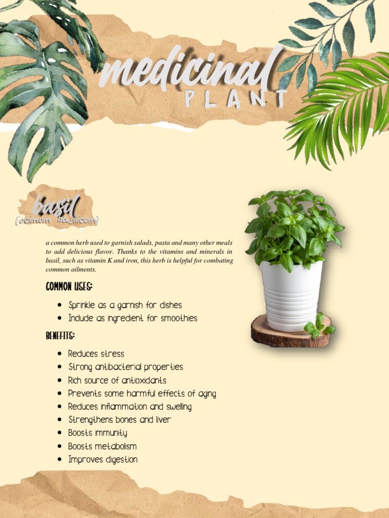 Medicinal Plants | PDF | Illness | Medical