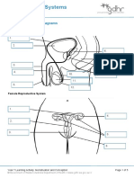 2.1 Reproductive Systems Student Worksheet