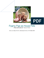 Pygmy Pigs As House Pets - Maria Lică