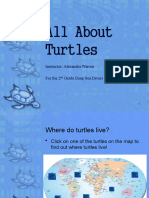All About Turtles: Instructor: Alexandra Warren For The 2 Grade Deep Sea Divers