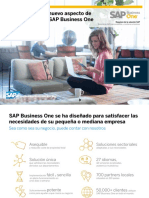 Brochure SAP B1
