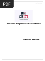 Portofoliu Programare