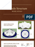 Tensile Structure: Model Details