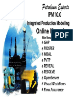 Online Manuals: Integrated Production Modelling