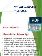 Fungsi Membran Plasma 2019 - 2020