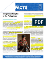 UN Indigenous Peoples in The Philippines