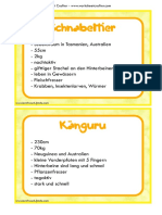 Australische Tiere INFOKARTEN