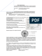 Nivelacion Prueba Saber Biologia 8º