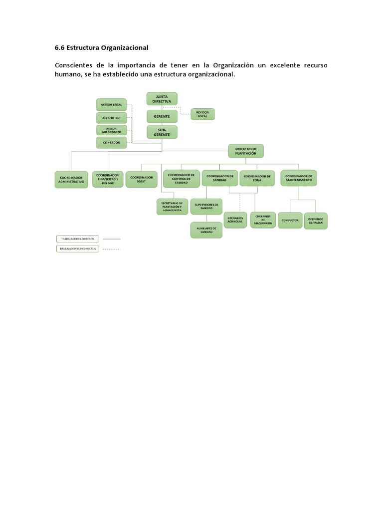 Estructura Organizacional | PDF | Crecimiento personal y profesional