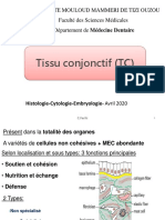 Le Tissu Conjonctif - Diapositives - Ferhi
