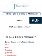 aulaDNA RNA