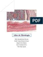 Atlas de Histologia - p1 - Completo