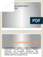 PPT Molahidatidosa